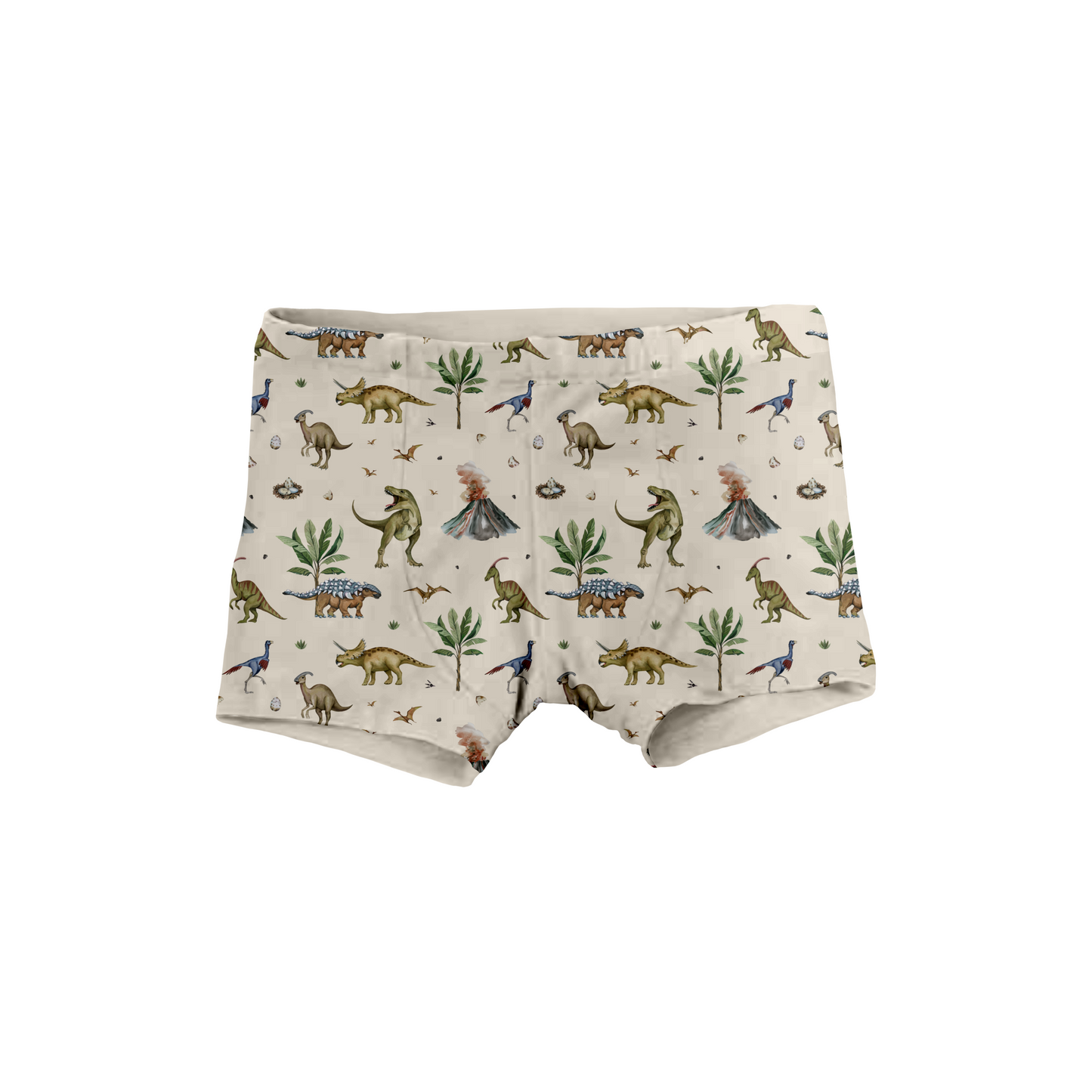 PRE ORDER Boxer Briefs - Dino