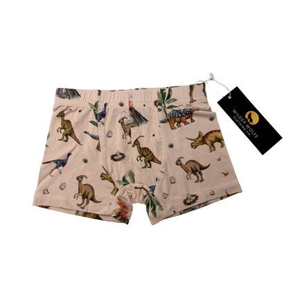 Boxer Briefs - Dino