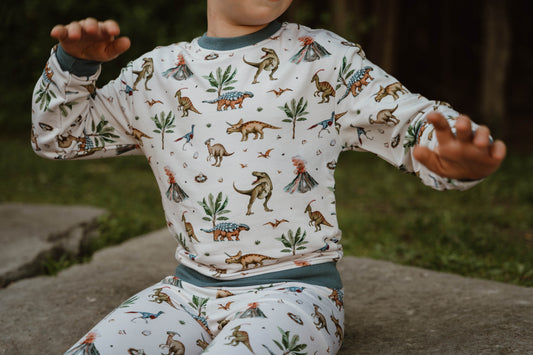 Crew Neck Sweater - Dino